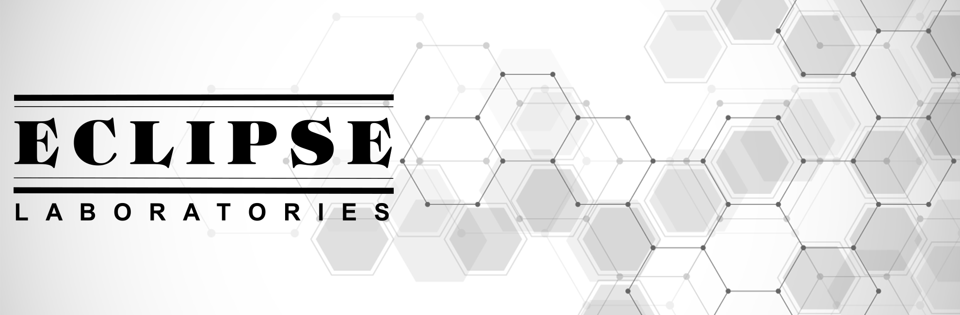 Eclipse Labs logo